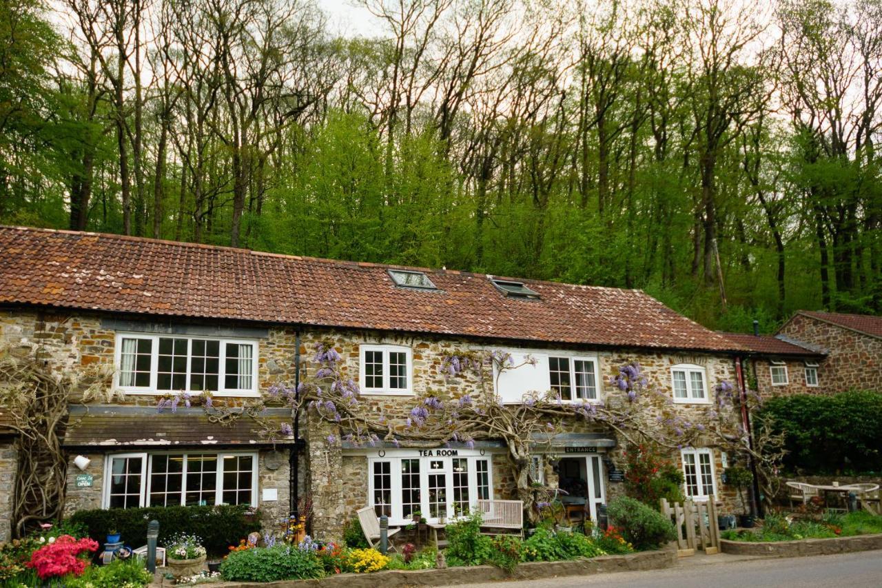 The Bark House Acomodação com café da manhã Oakford Exterior foto